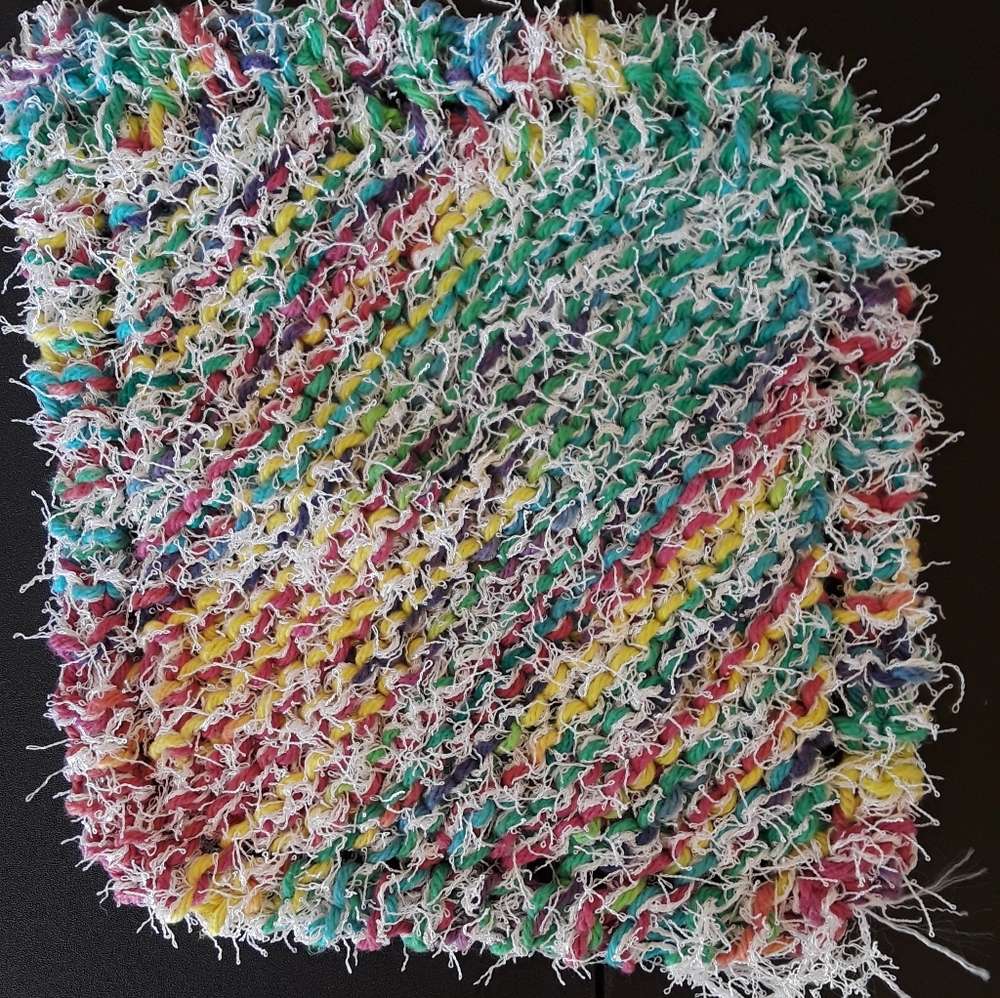 Dish cloth